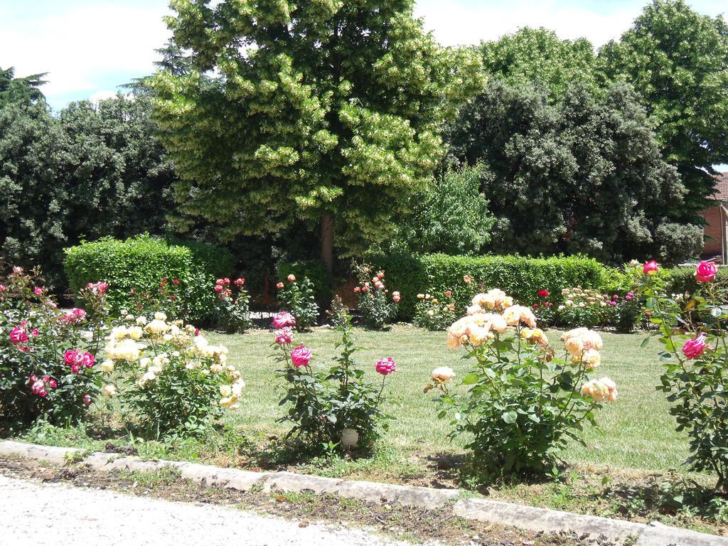 Tenuta Villa Rocchi Торрита-ди-Сьена Экстерьер фото